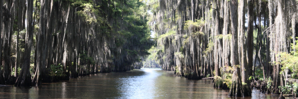 Caddo Lake Header